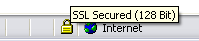 Hover your mouse over the padlock to view the SSL encryption strength