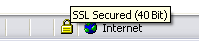 Hover your mouse over the padlock to view the SSL encryption strength